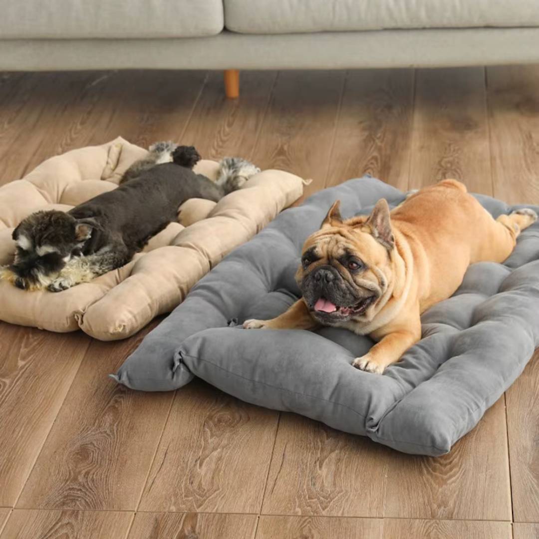 3-in-1 Dog Bed Mat
