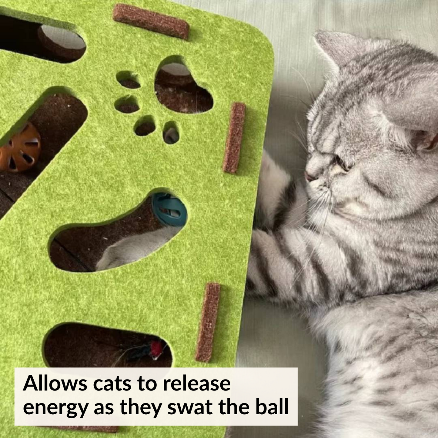 Cat Toy Puzzle Box - Keep Your Cat Active & Entertained