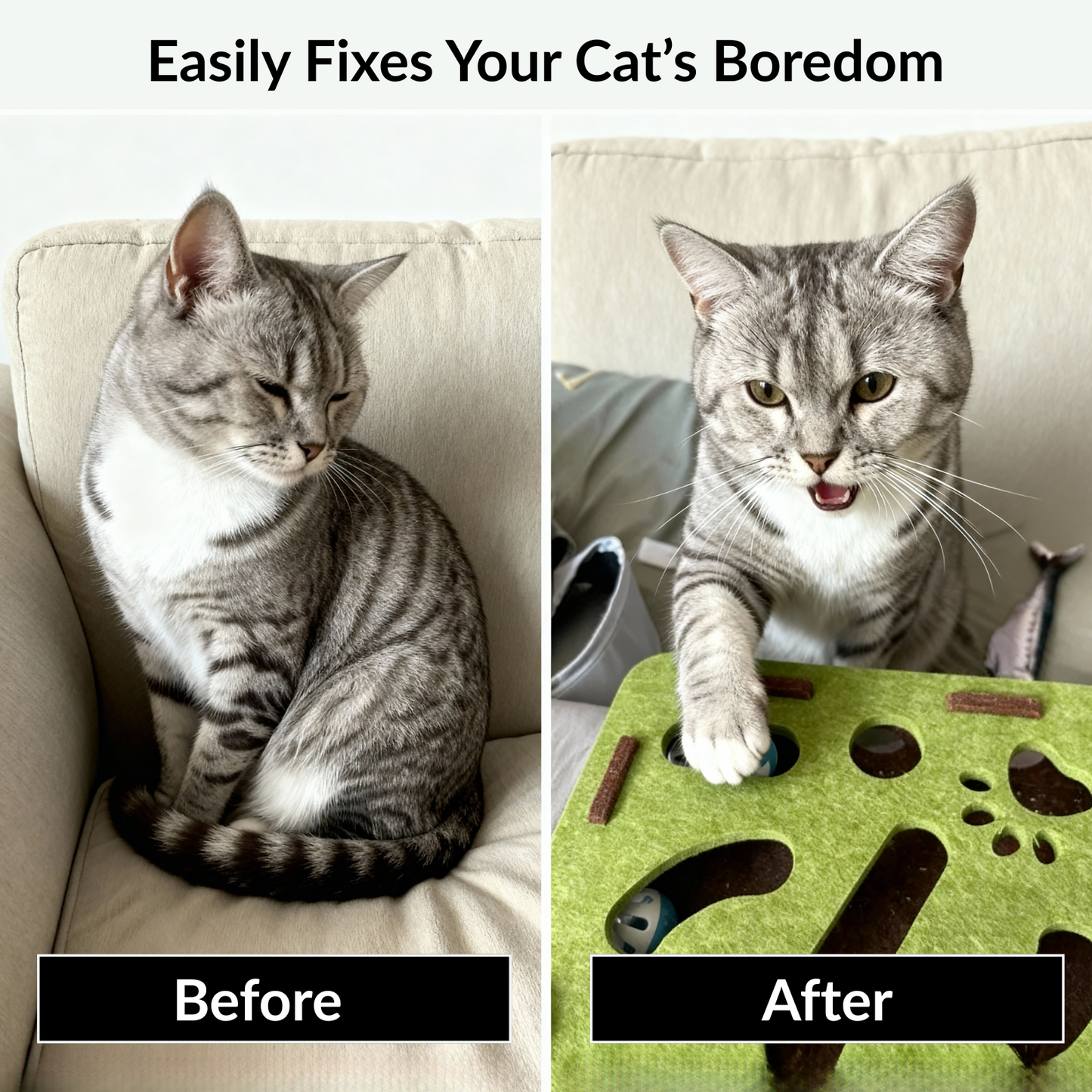 Cat Toy Puzzle Box - Keep Your Cat Active & Entertained