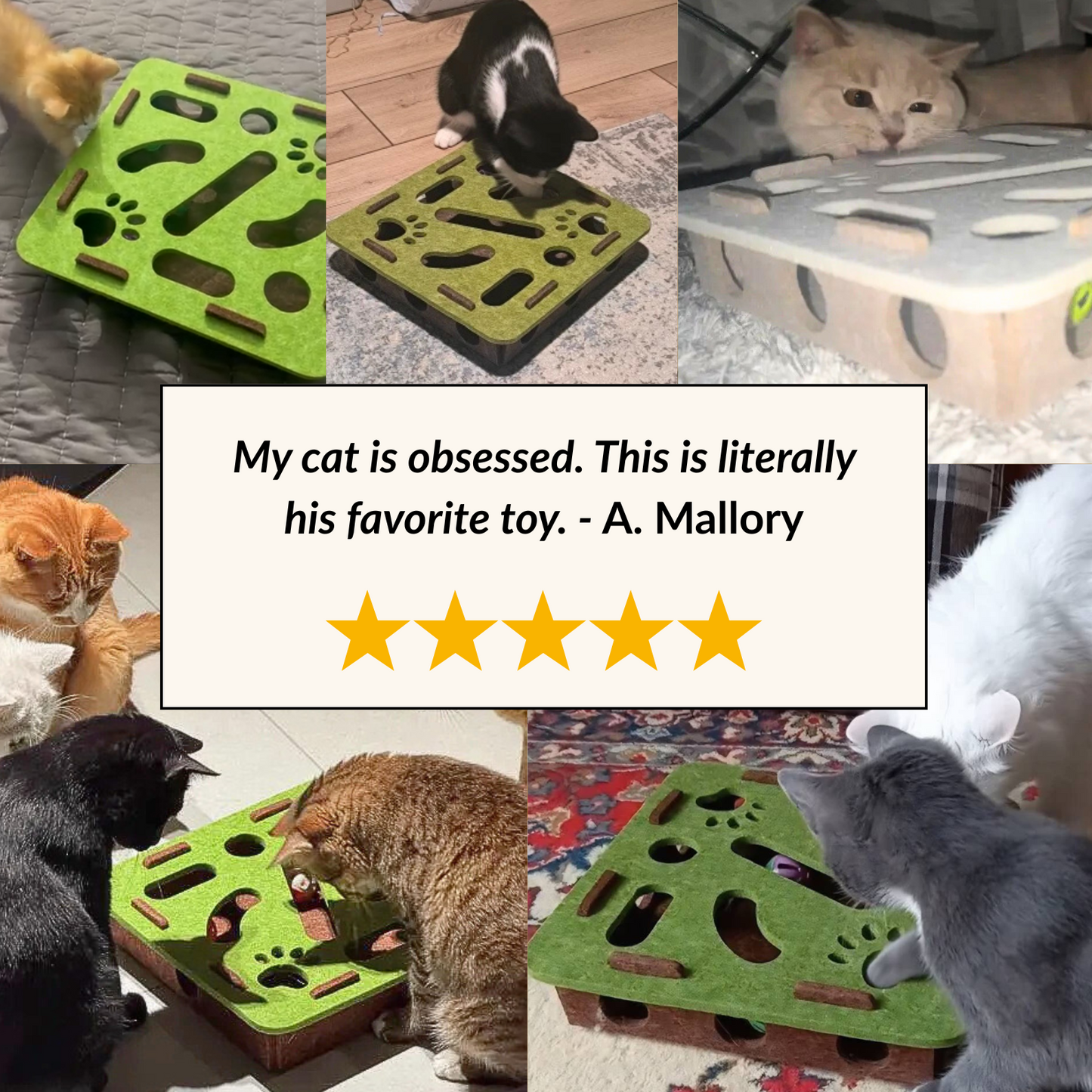 Cat Toy Puzzle Box - Keep Your Cat Active & Entertained