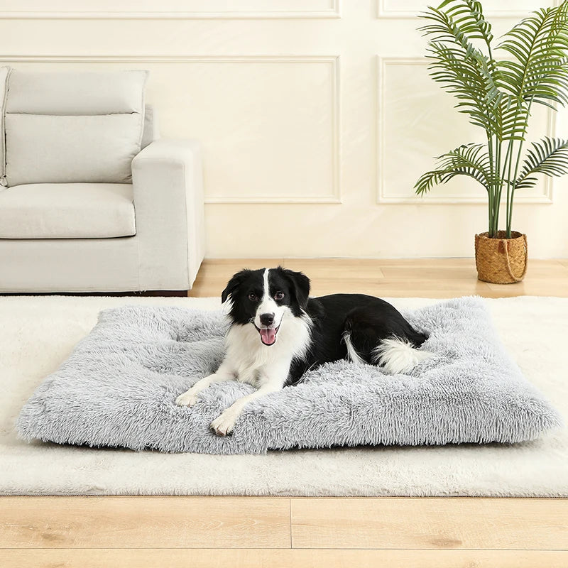 Plush Cotton Dog Bed