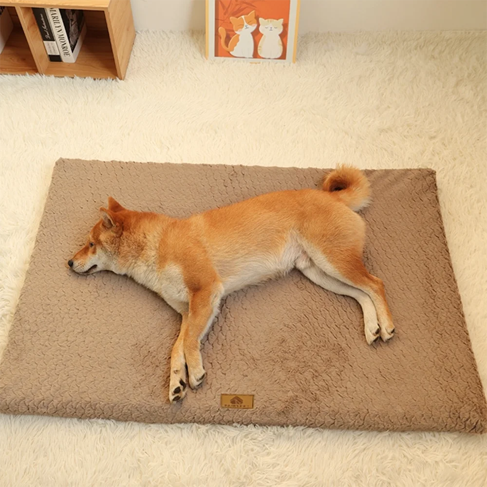 Orthopedic Foam Dog Bed with Washable Cover