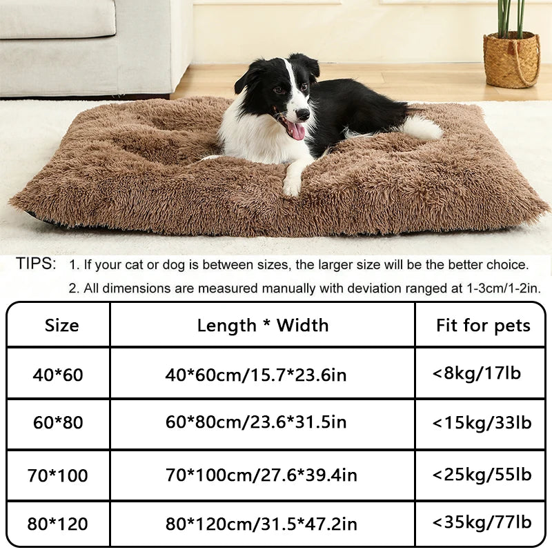 Plush Cotton Dog Bed