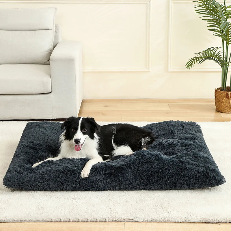Plush Cotton Dog Bed