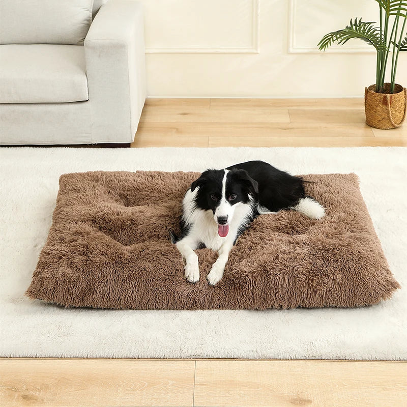 Plush Cotton Dog Bed