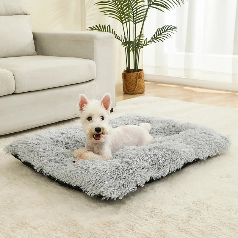 Plush Cotton Dog Bed