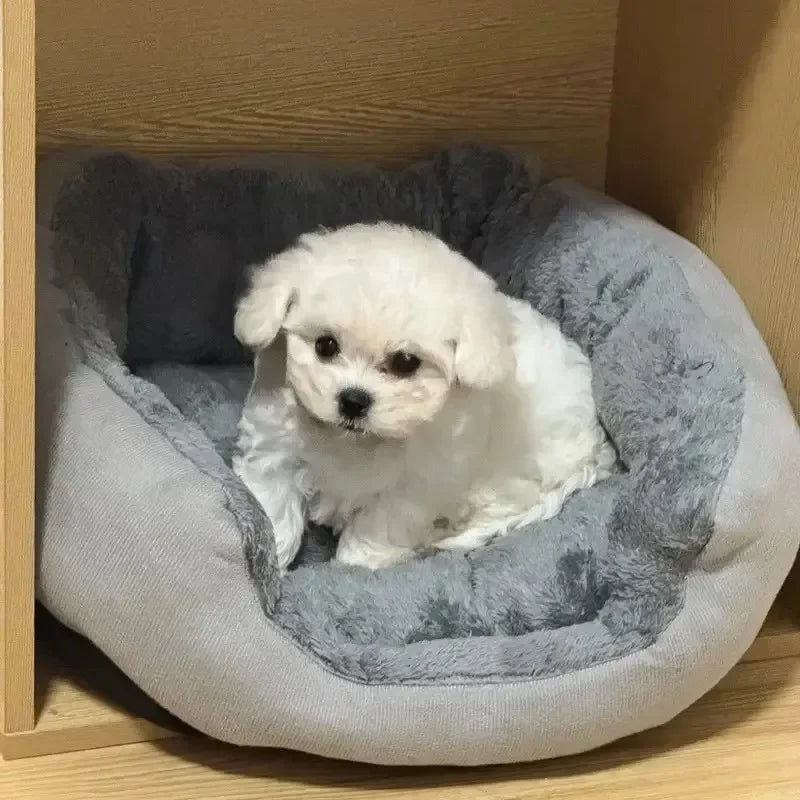 Round Sofa Pet Bed