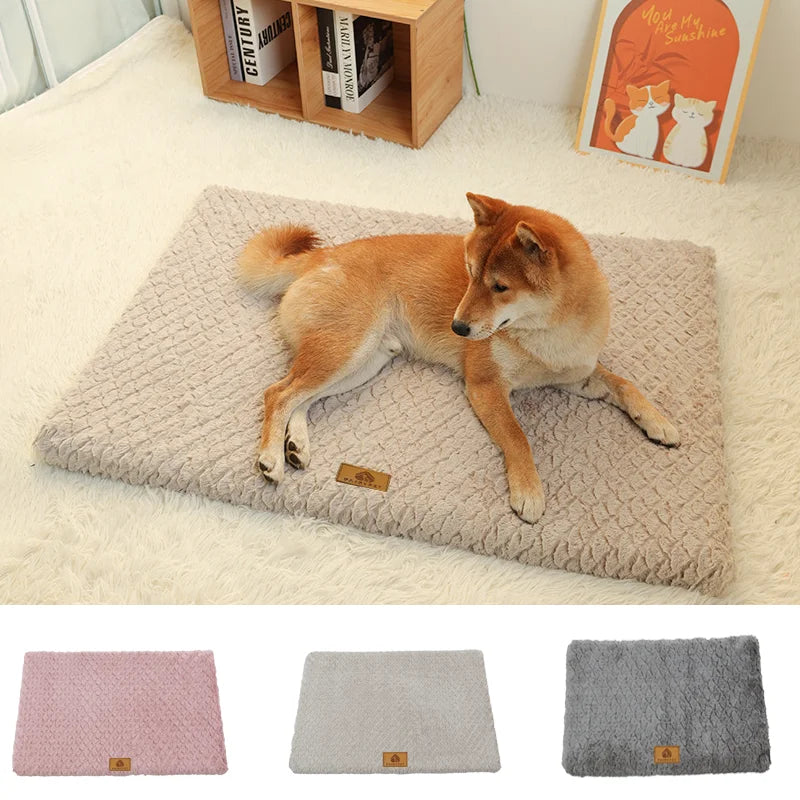 Orthopedic Foam Dog Bed with Washable Cover