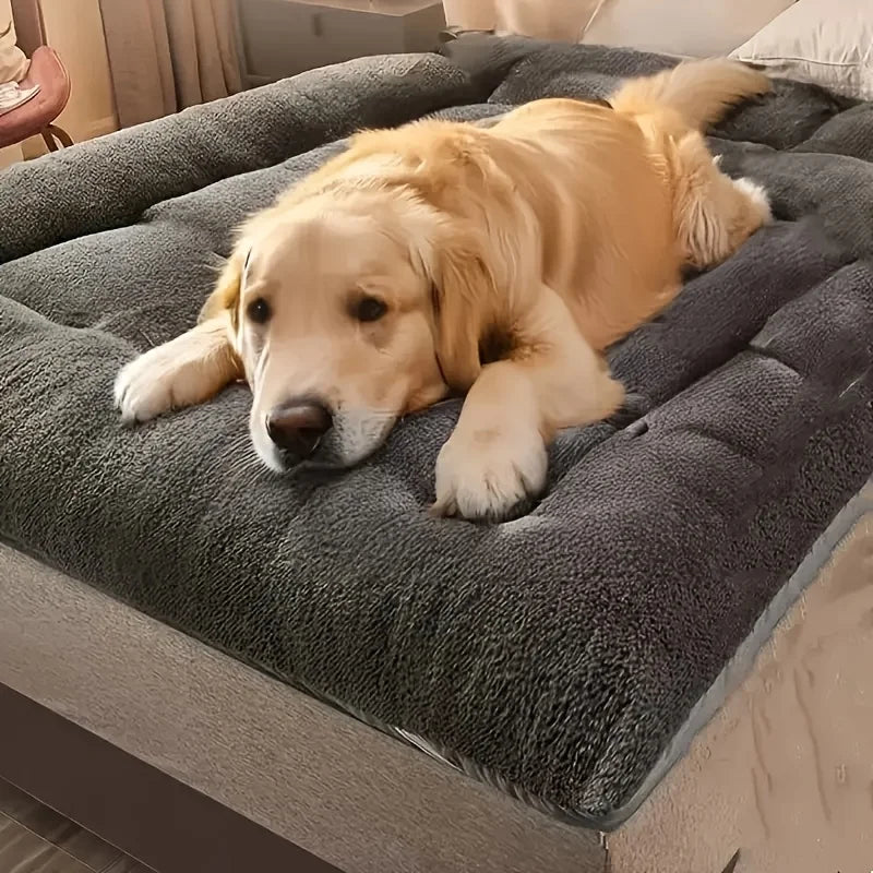 Extra-Large Plush Dog Bed