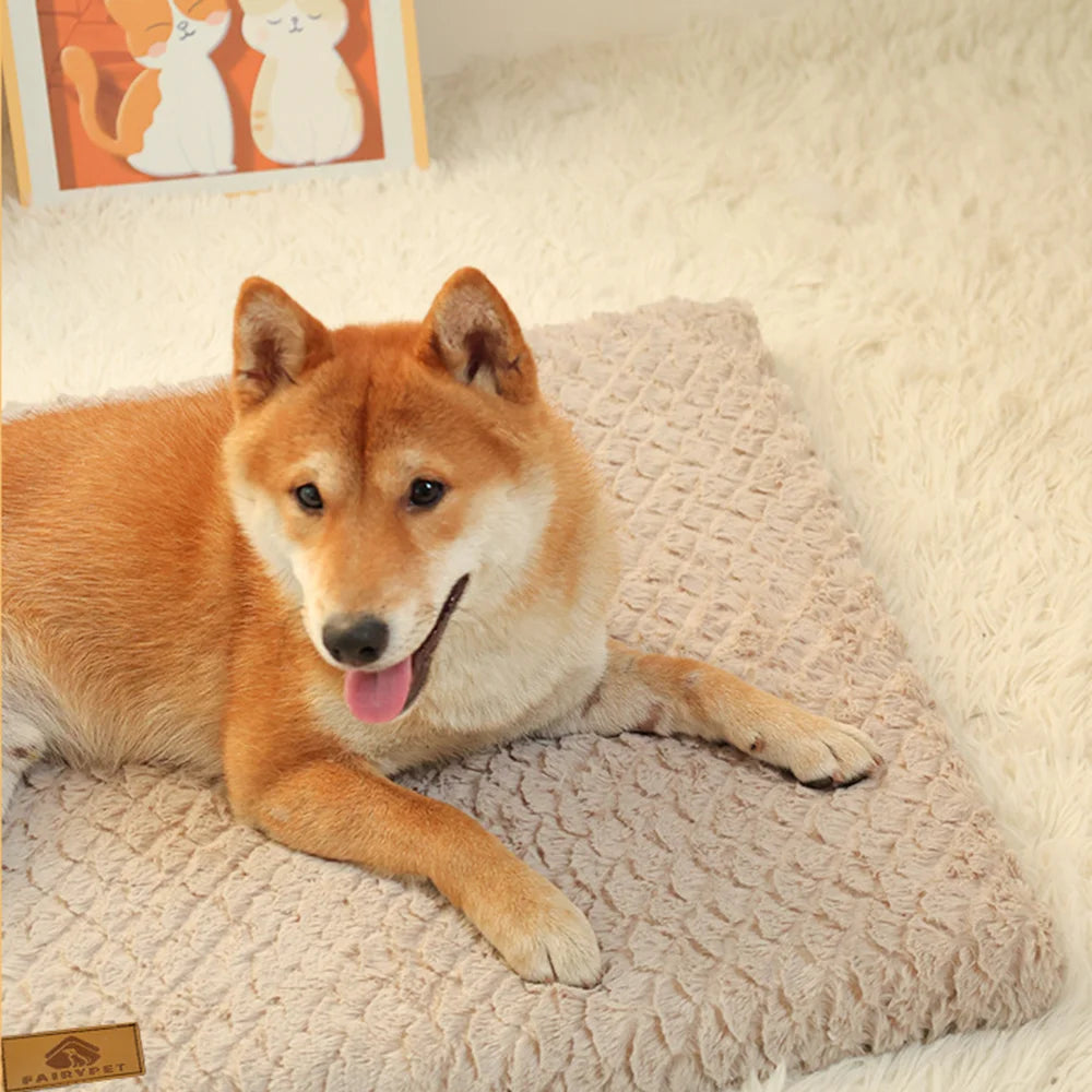 Orthopedic Foam Dog Bed with Washable Cover