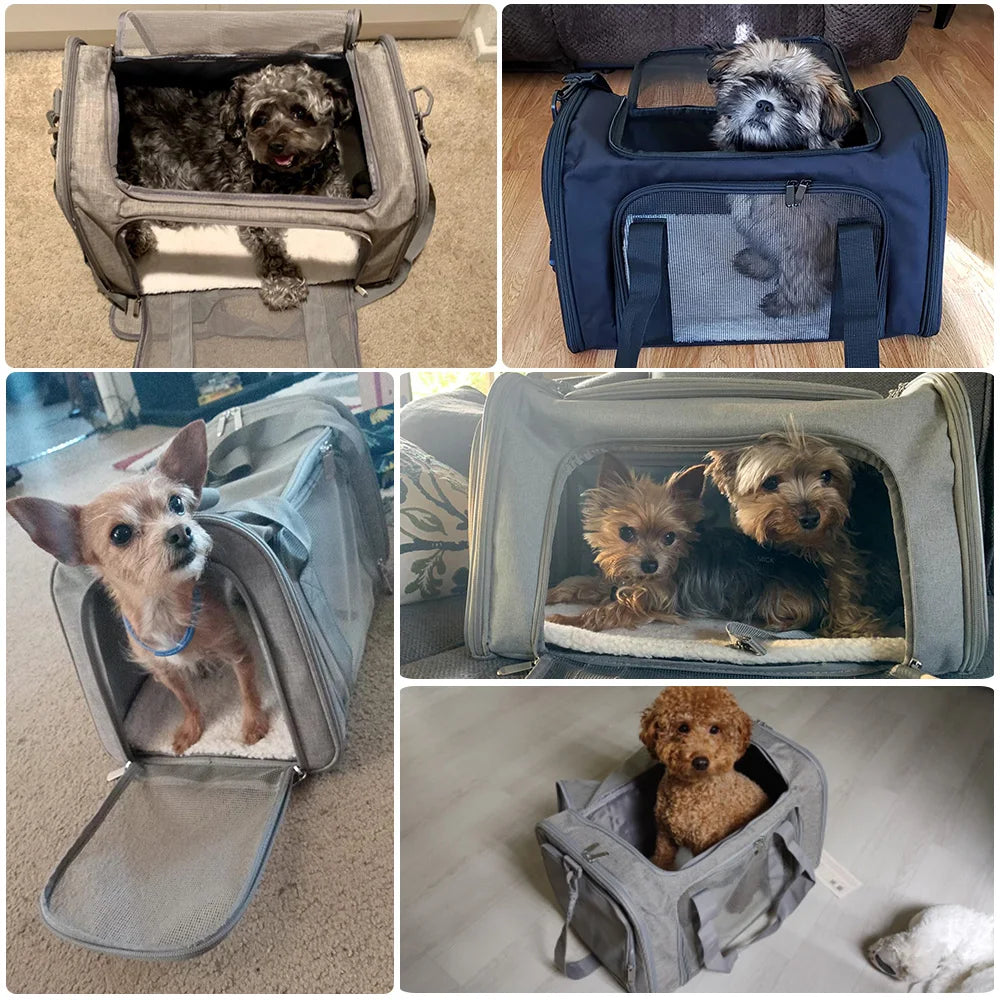Pet Carrier Bag for Travel