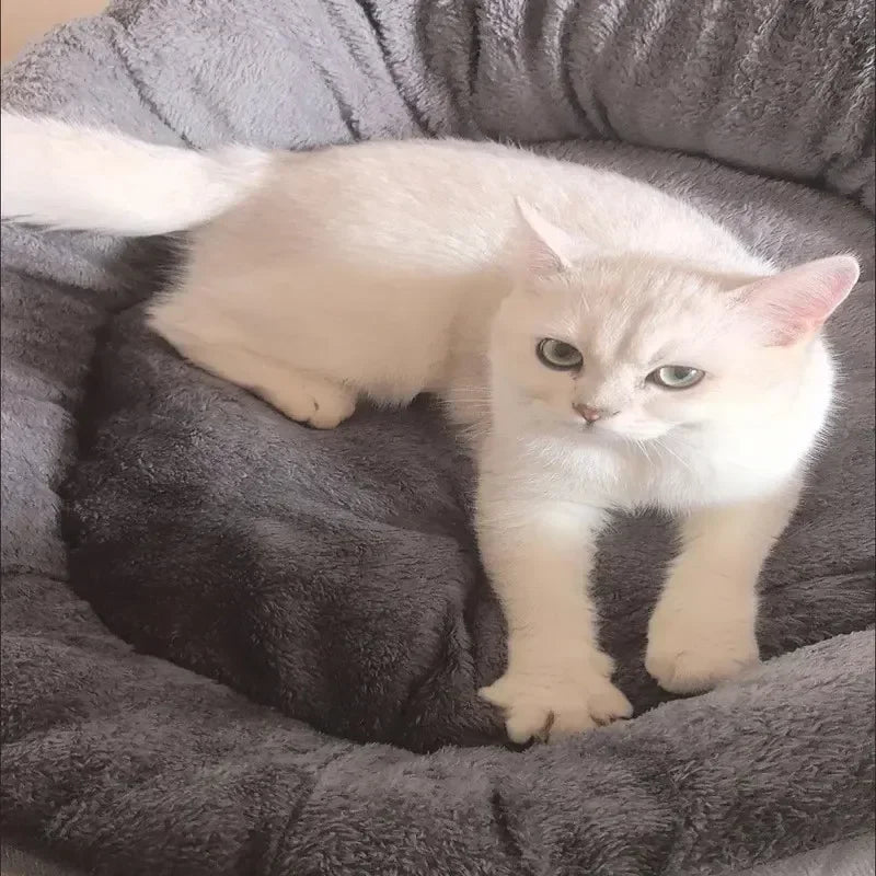 Round Sofa Pet Bed
