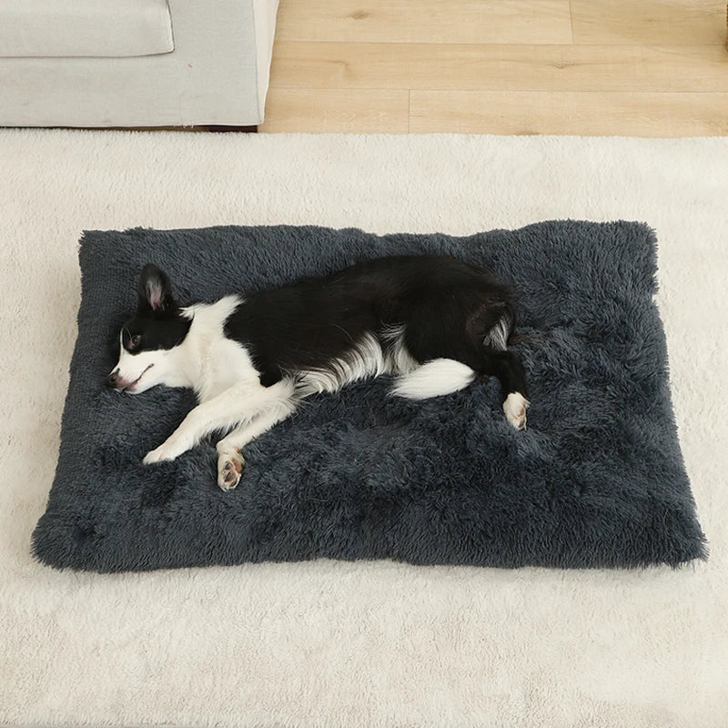 Plush Cotton Dog Bed