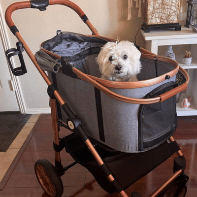 Pet Stroller 3-in-1 with Detachable Carrier