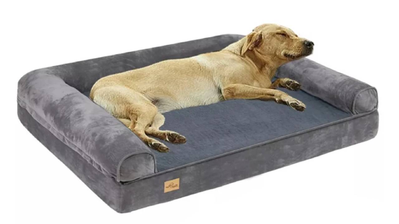 Large Orthopedic Dog Bed Sofa