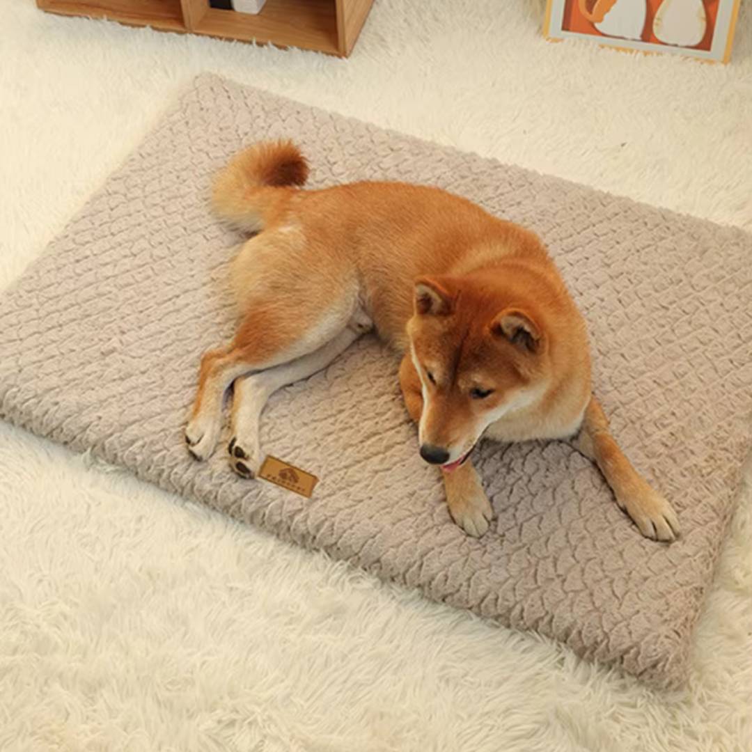 Orthopedic Foam Dog Bed with Washable Cover