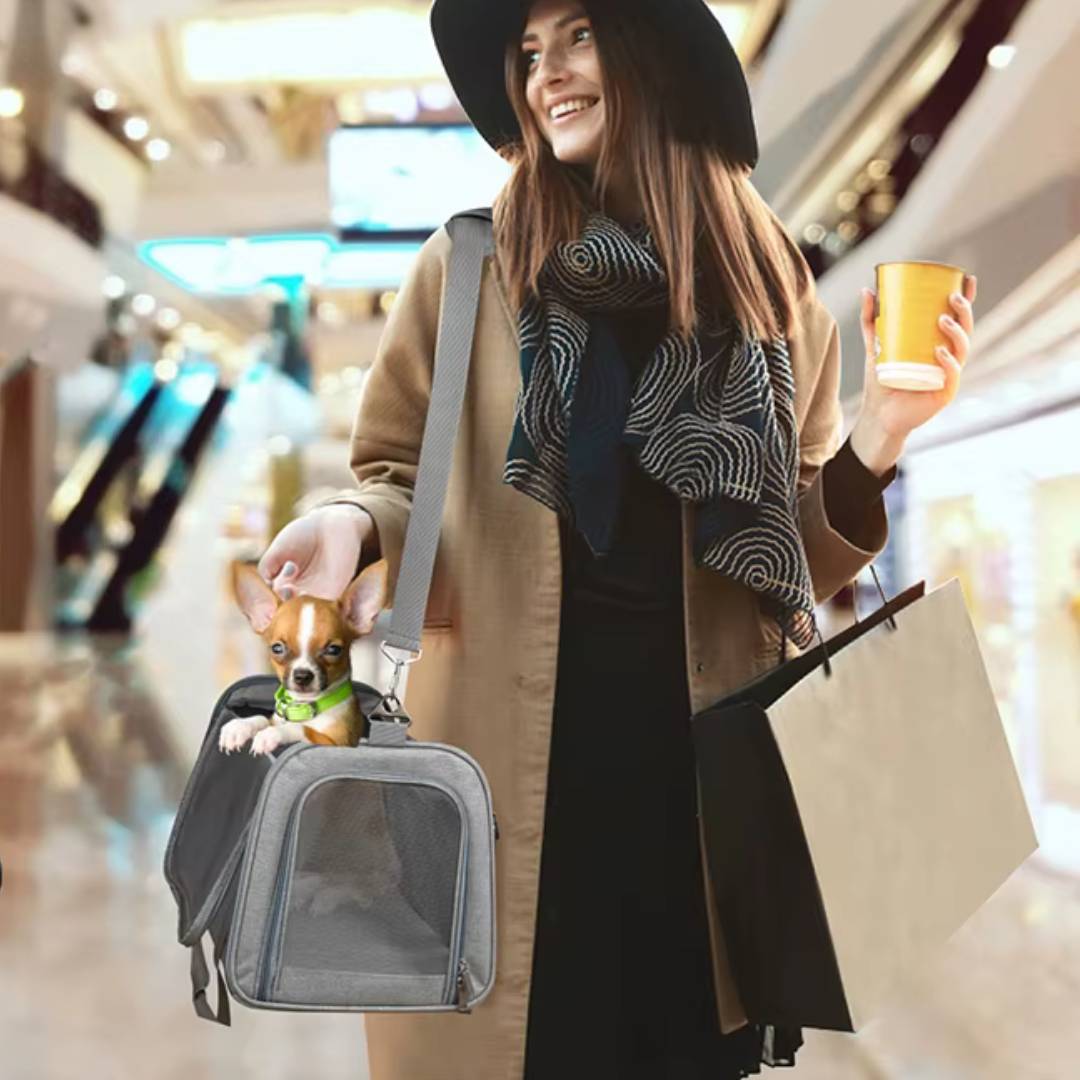 Pet Carrier Bag for Travel