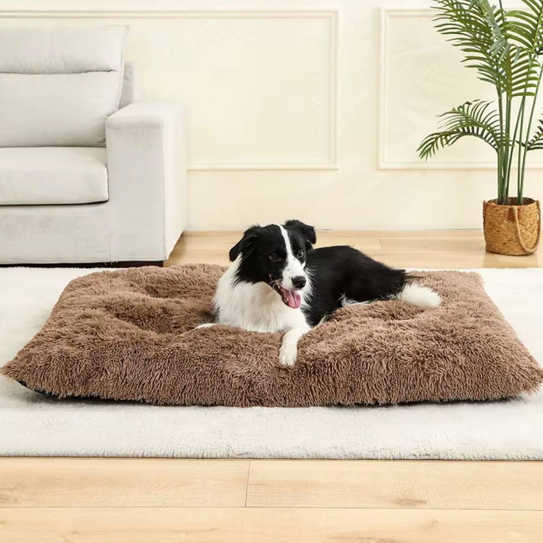 Plush Cotton Dog Bed