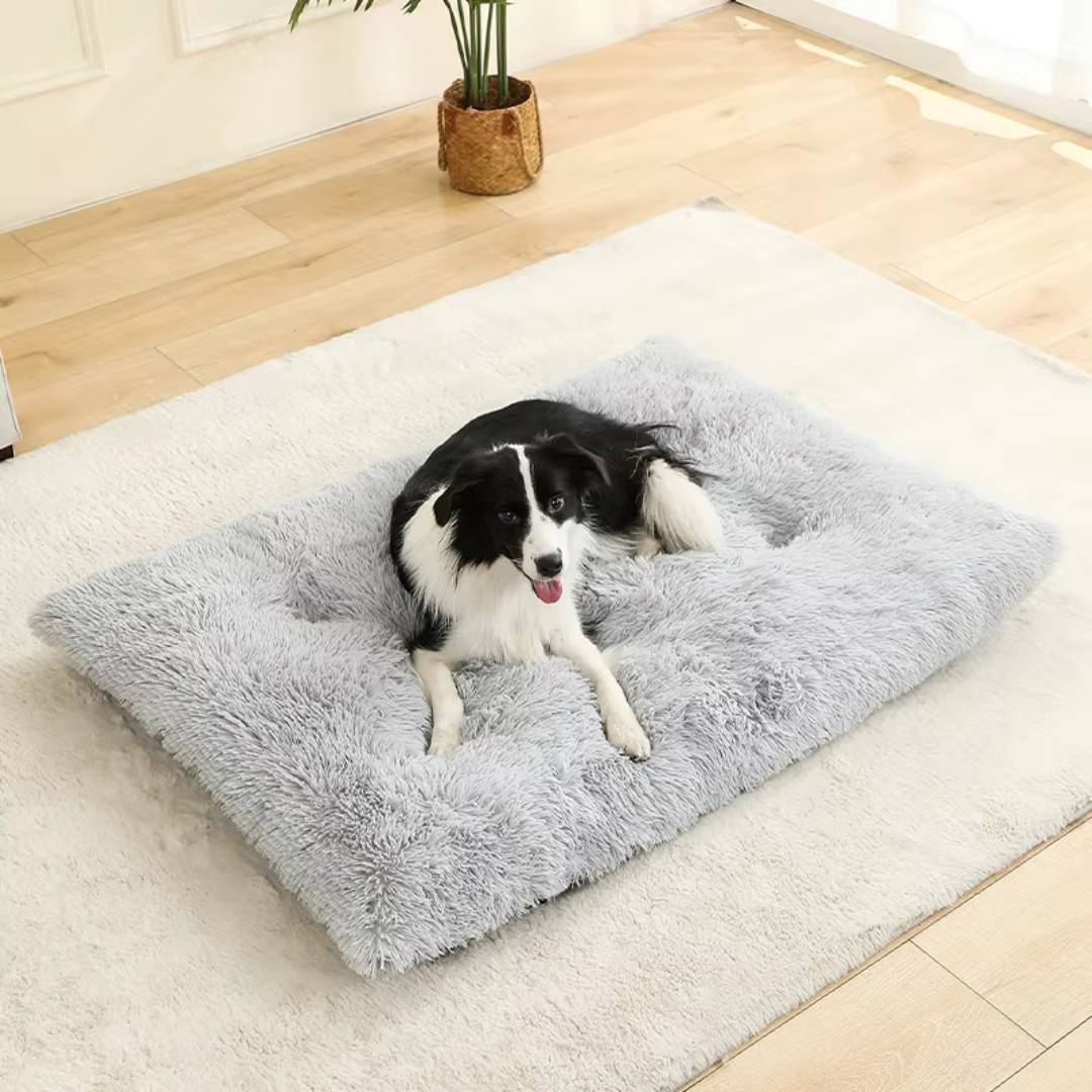 Plush Cotton Dog Bed