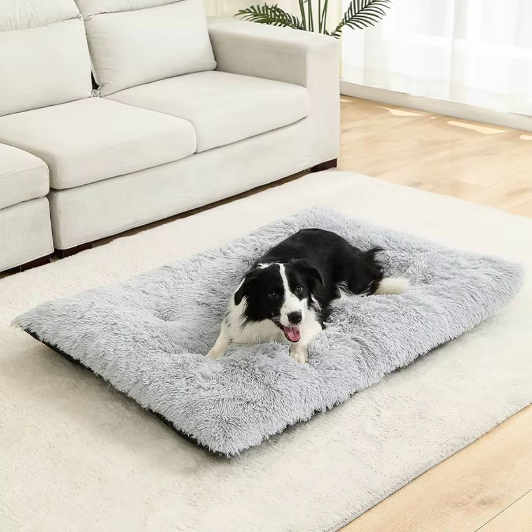 Plush Cotton Dog Bed