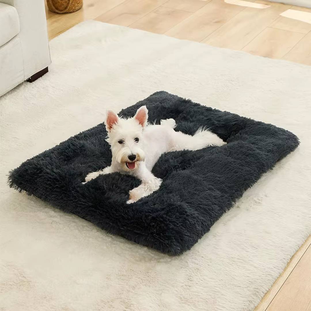 Plush Cotton Dog Bed