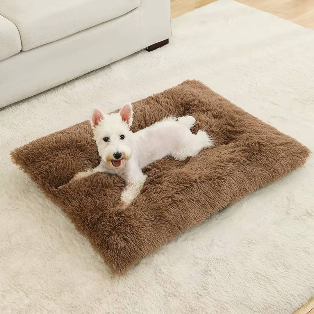 Plush Cotton Dog Bed