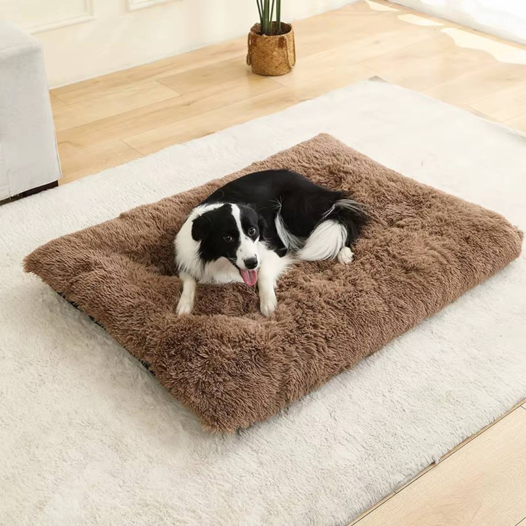 Plush Cotton Dog Bed