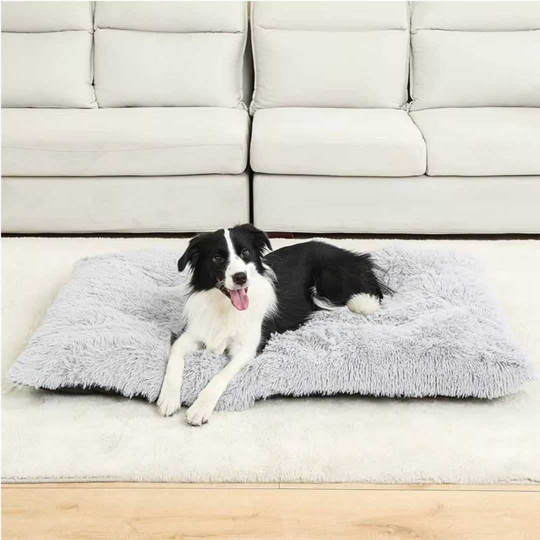 Plush Cotton Dog Bed