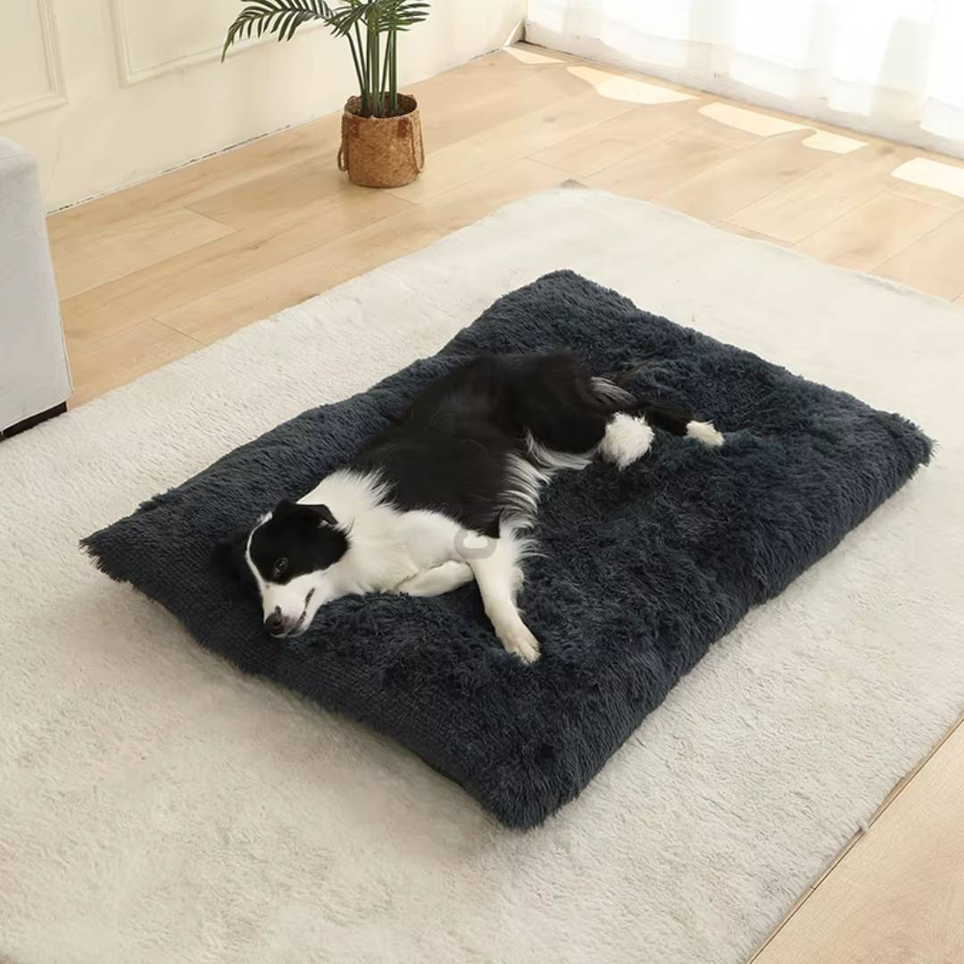 Plush Cotton Dog Bed
