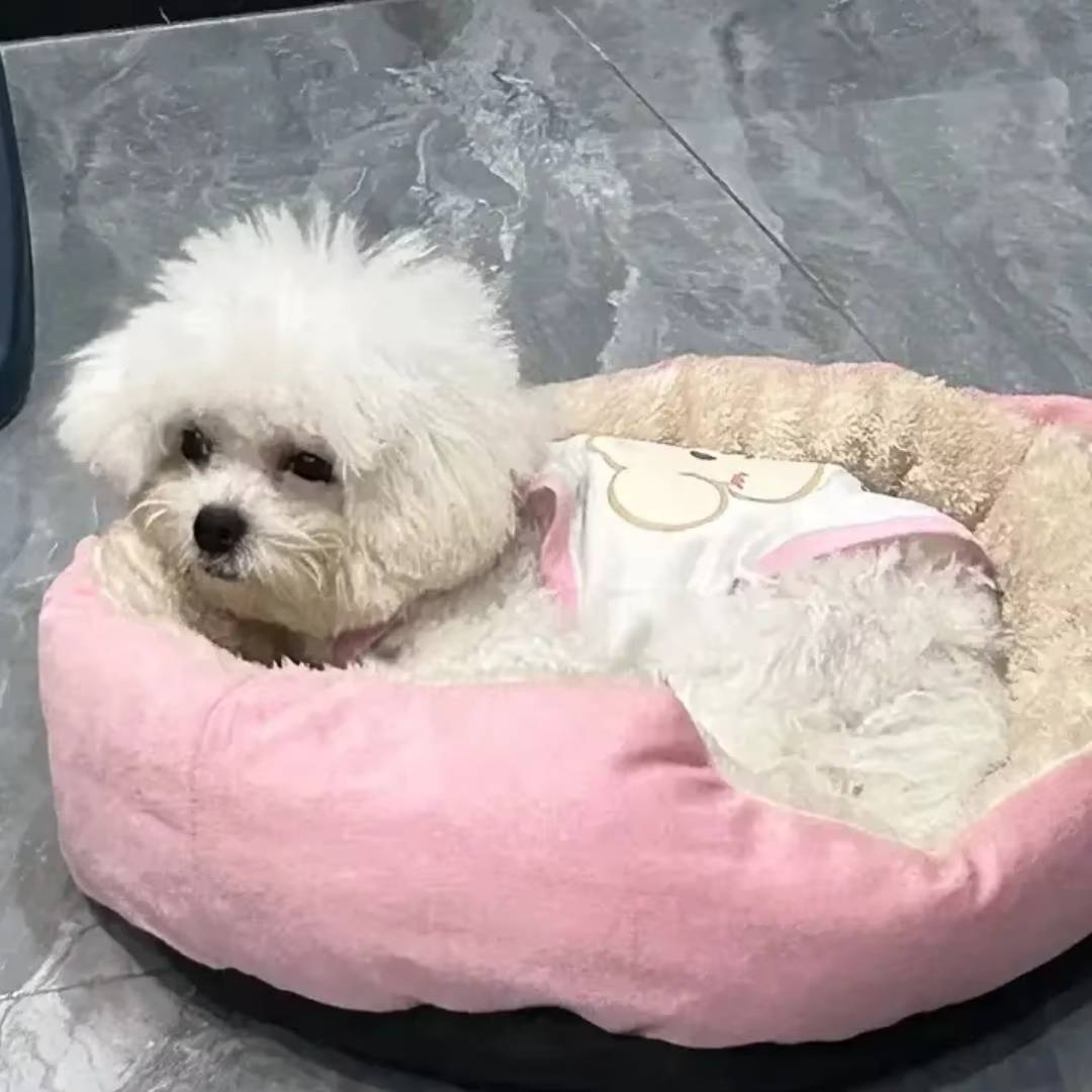 Round Sofa Pet Bed