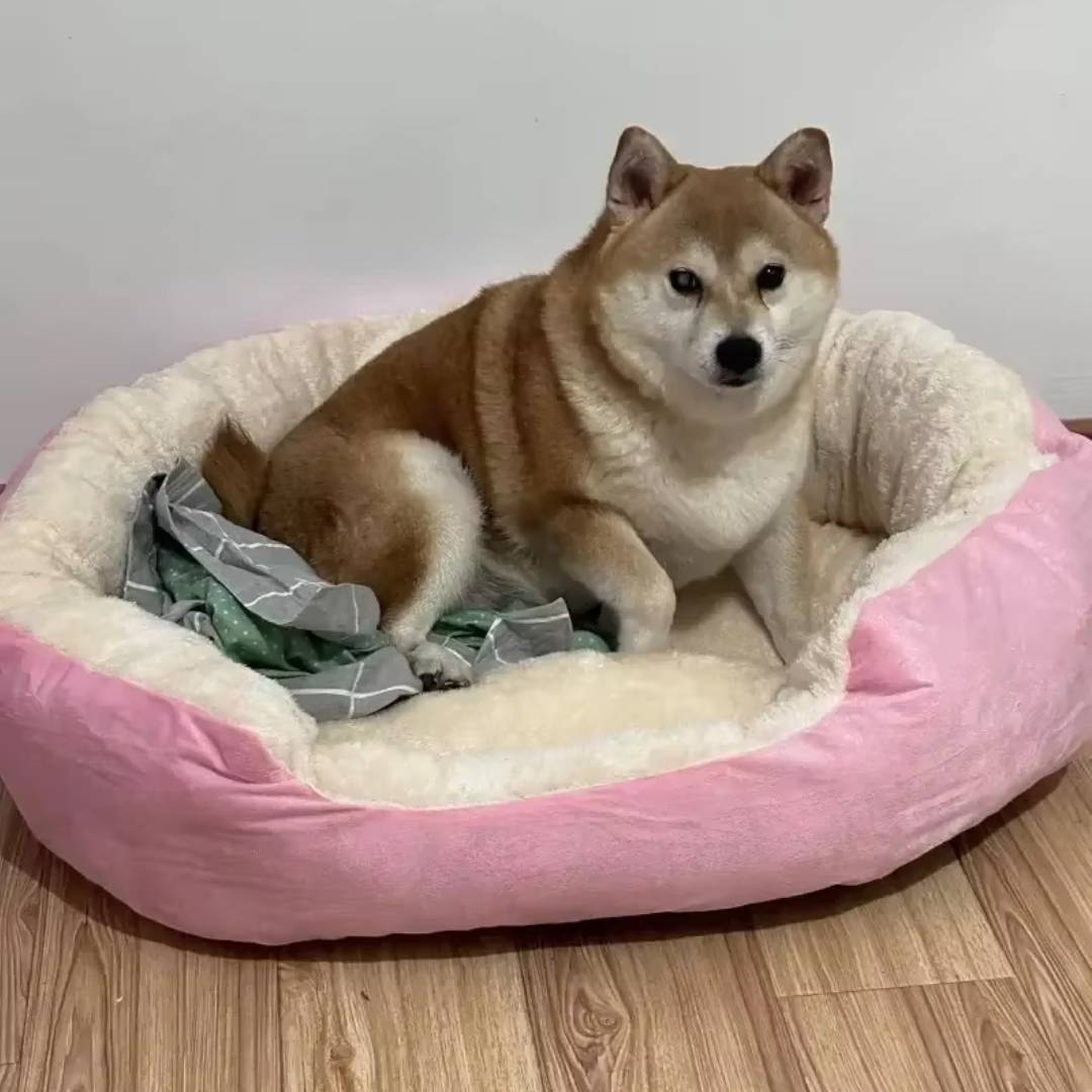 Round Sofa Pet Bed