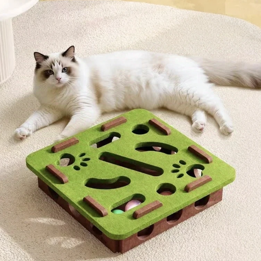 Cat Toy Puzzle Box - Keep Your Cat Active & Entertained