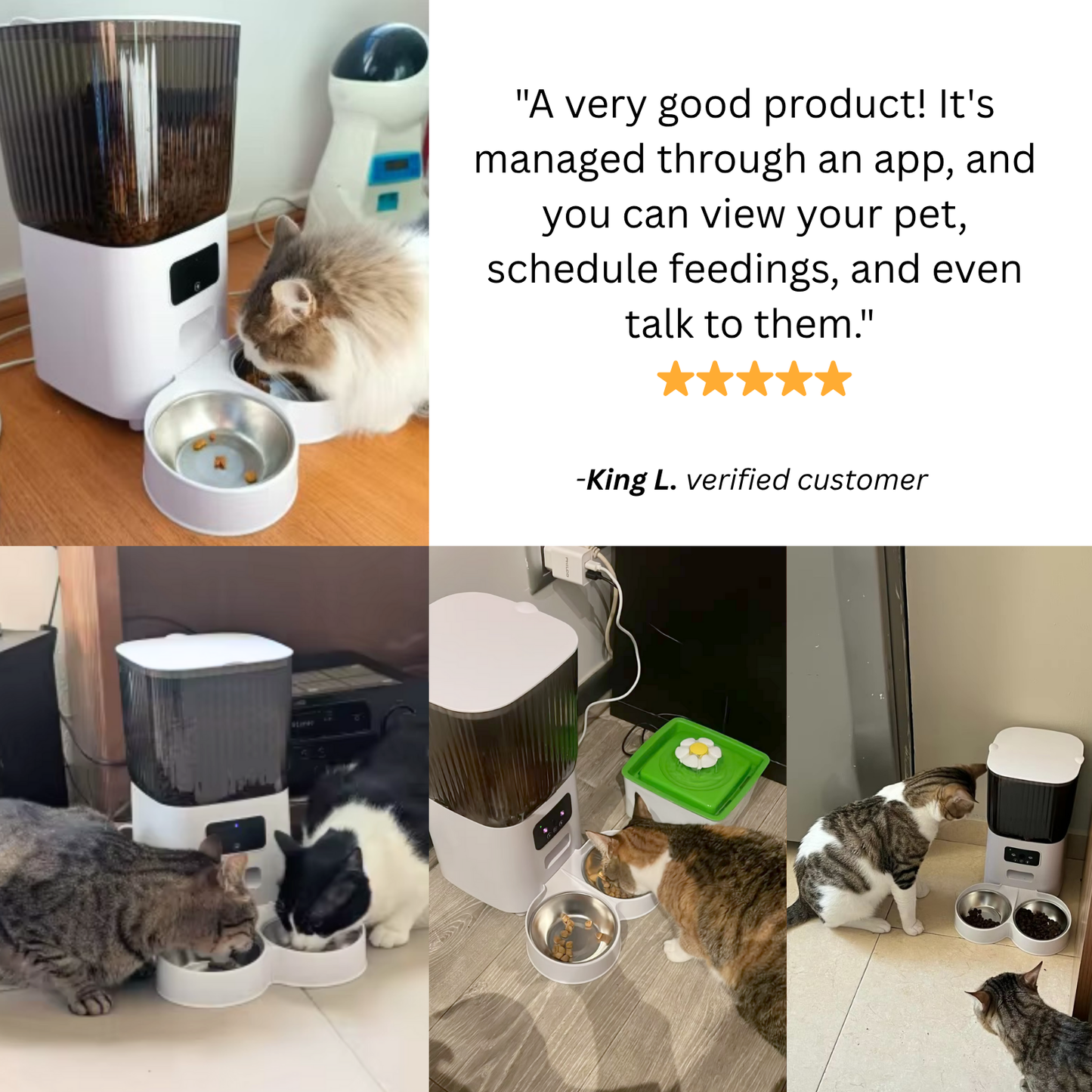 5L Automatic Cat Feeder With Camera