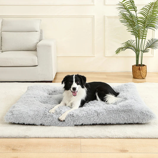 Plush Cotton Dog Bed