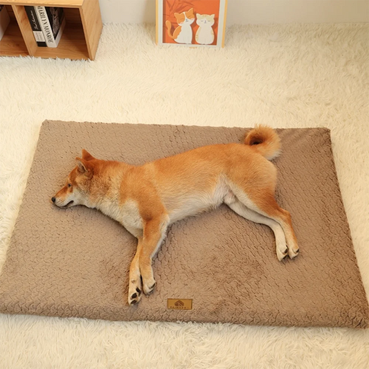 Orthopedic Foam Dog Bed with Washable Cover