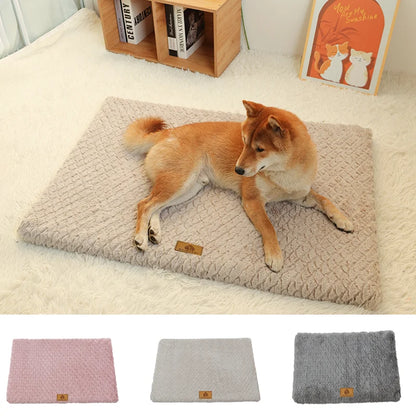Orthopedic Foam Dog Bed with Washable Cover