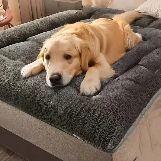 Extra-Large Plush Dog Bed