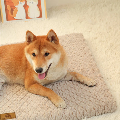 Orthopedic Foam Dog Bed with Washable Cover