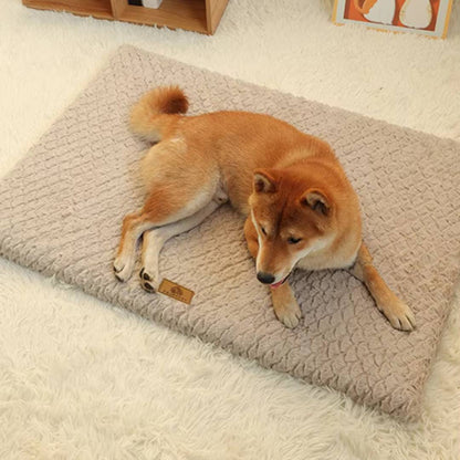 Orthopedic Foam Dog Bed with Washable Cover