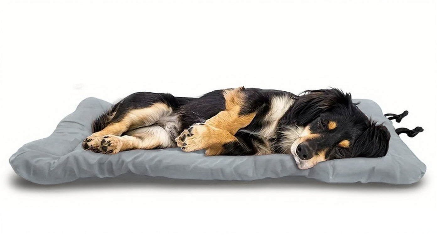 Waterproof Outdoor Dog Mattress
