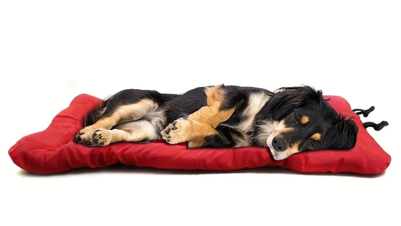 Waterproof Outdoor Dog Mattress