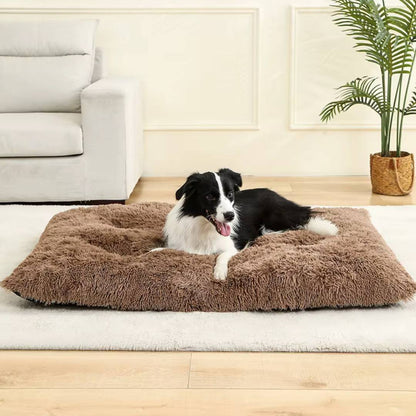 Plush Cotton Dog Bed