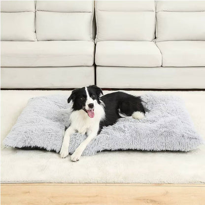 Plush Cotton Dog Bed