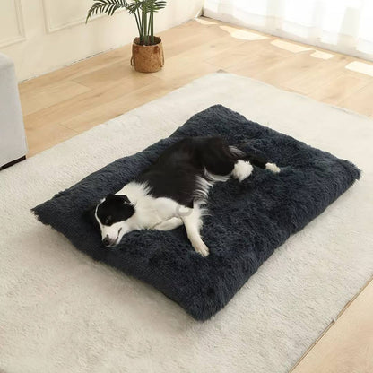 Plush Cotton Dog Bed